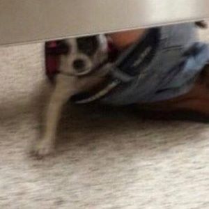 Meet your Posher, David